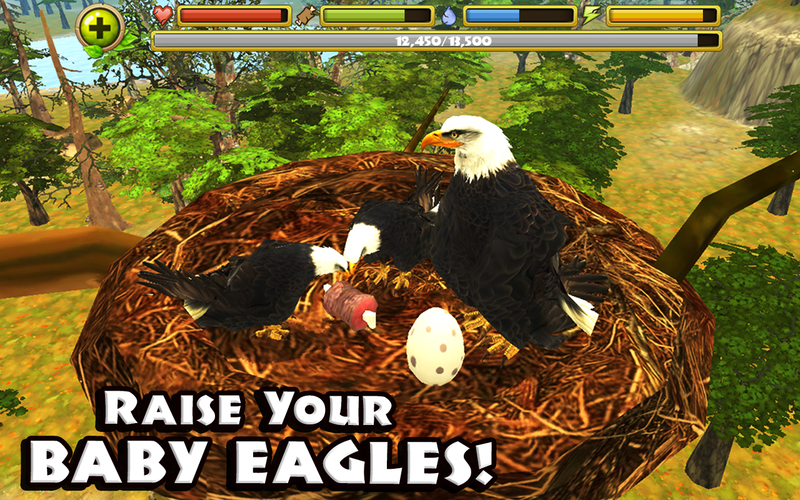Eagle Simulator - Screenshot 1