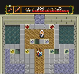 Neutopia - Screenshot 9