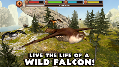Falcon Simulator - Screenshot 3