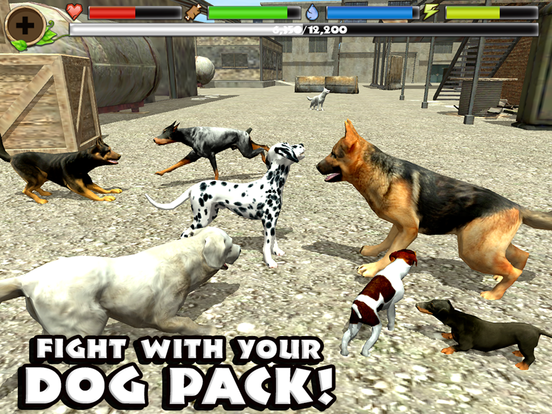 Stray Dog Simulator - Screenshot 4