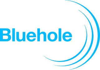 Bluehole, Inc. logo