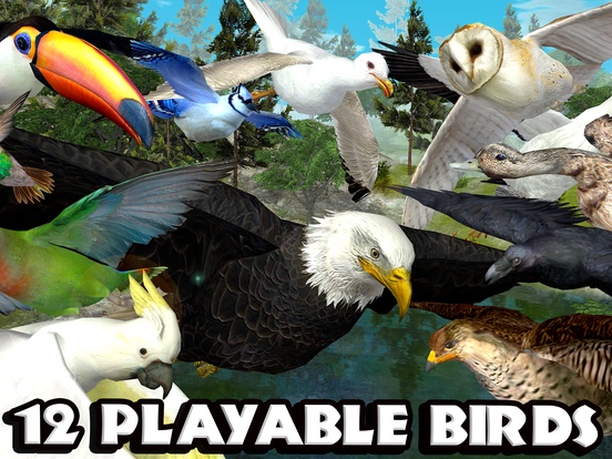 Ultimate Bird Simulator - Screenshot 3