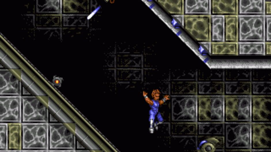 Assassin media thumbnail