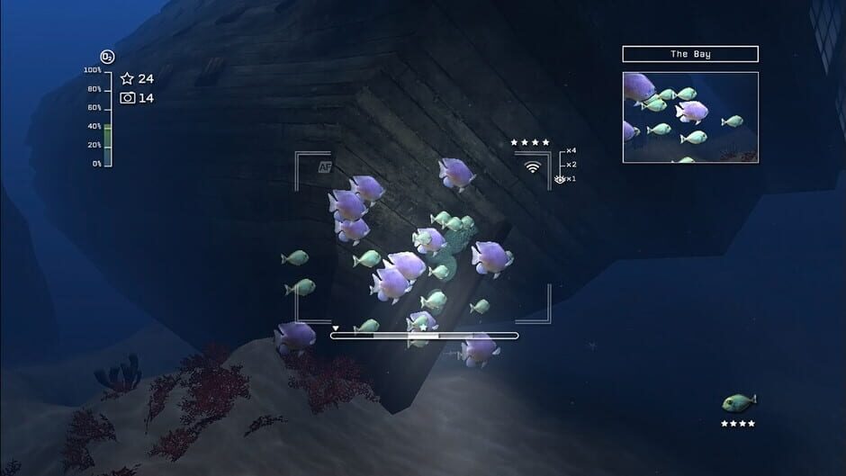 Reef Shot screenshot 2