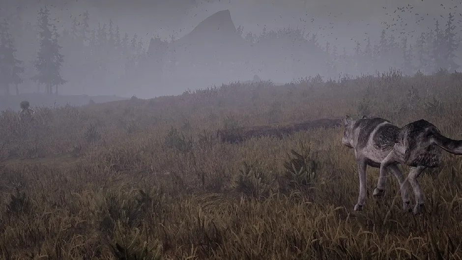 Кадър от Wandering Wolf