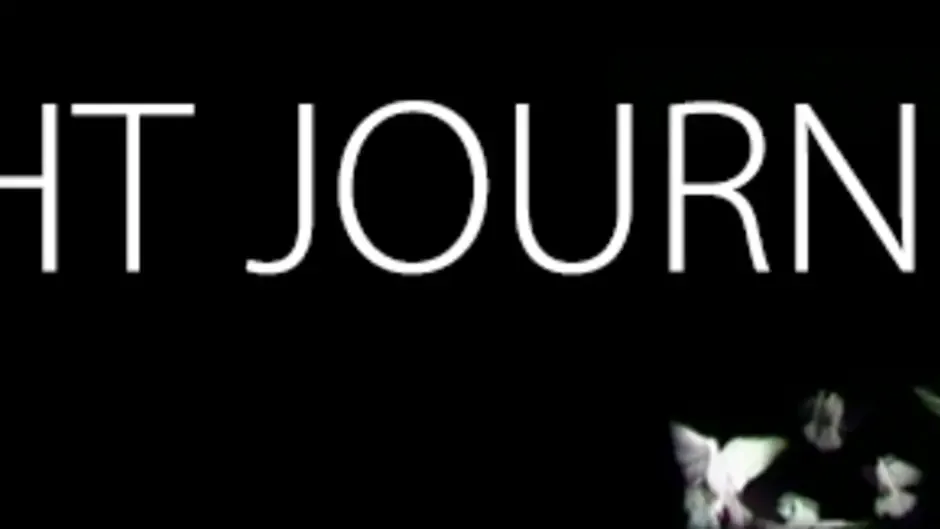 Capture d'écran de l'article