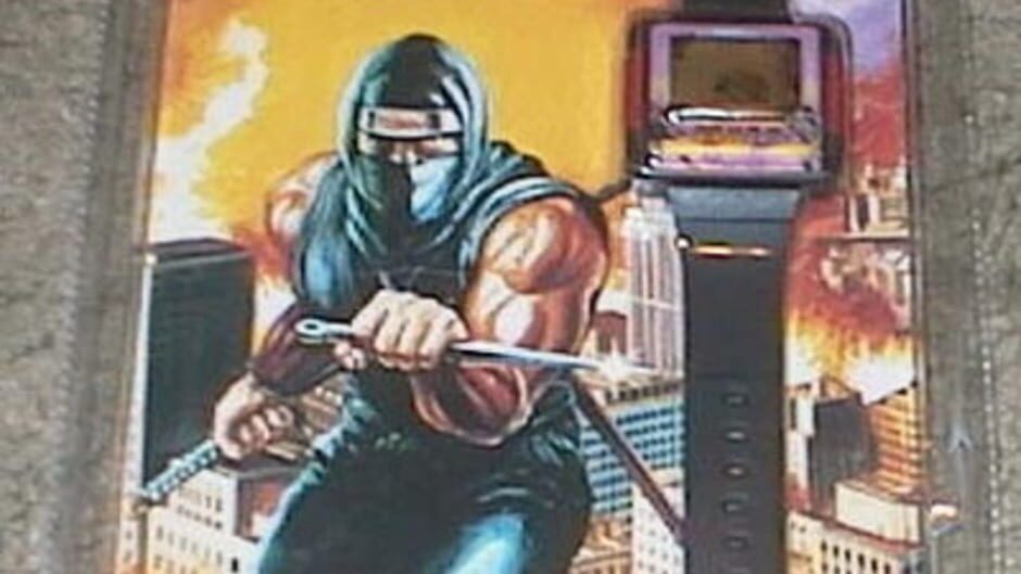 Ninja Gaiden screenshot 1