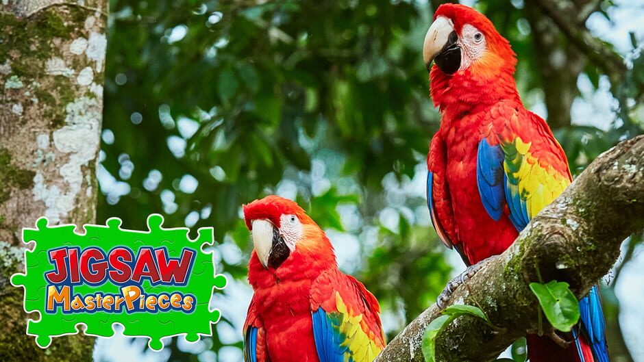 Jigsaw Masterpieces: Colorful Birds