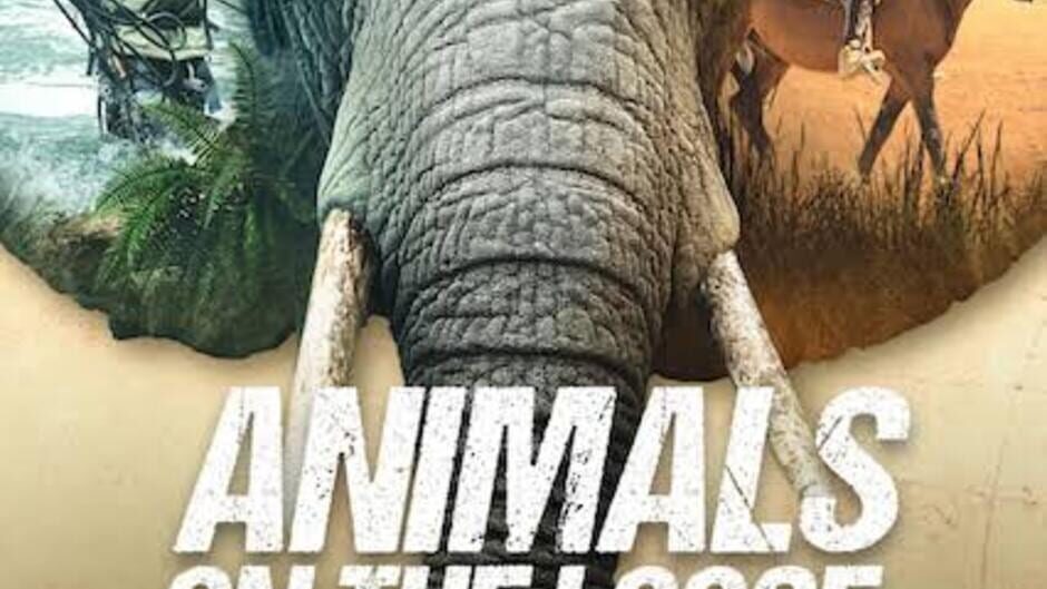Animals on the Loose: A You vs. Wild Movie screenshot 3