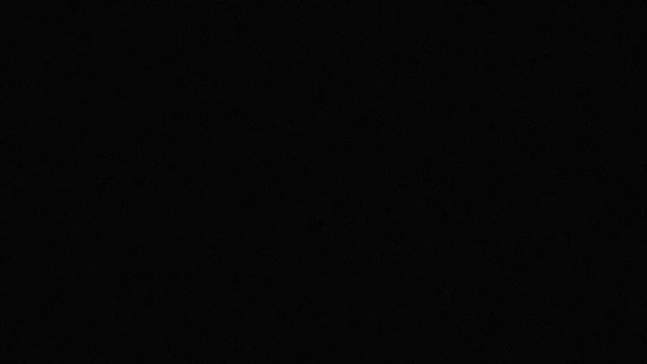Capture d'écran de l'article