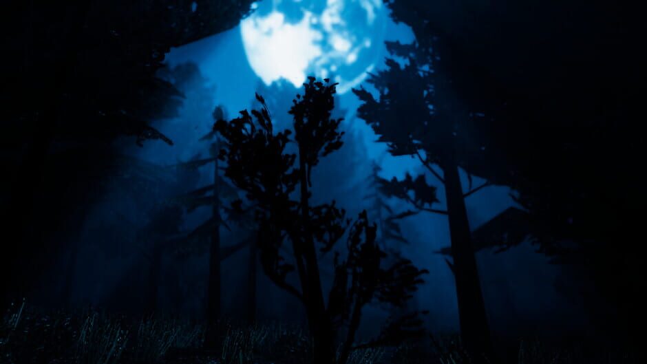 Blue Ridge Hunting