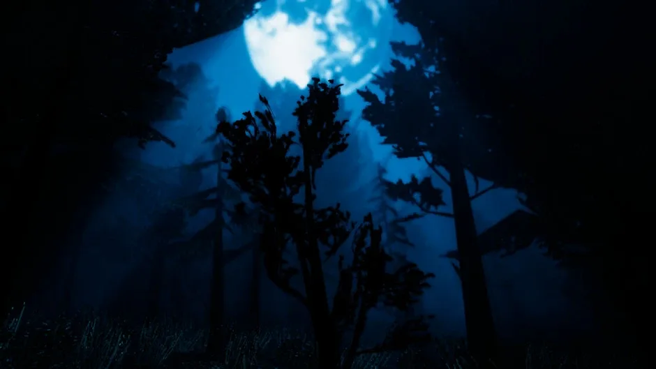 Blue Ridge Hunting