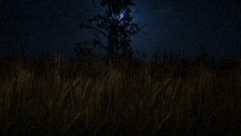 Кадър от 7 Nights Keeper