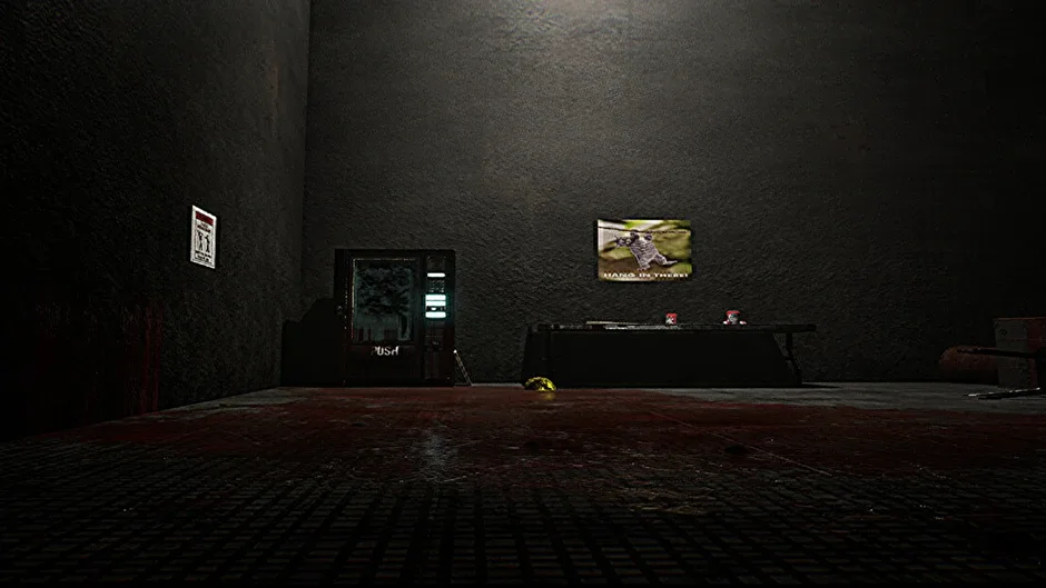 Schizophrenia: The Last Shift