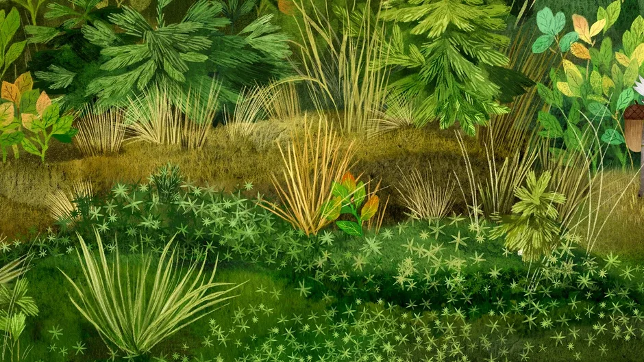 Кадър от Tukoni: Forest Keepers