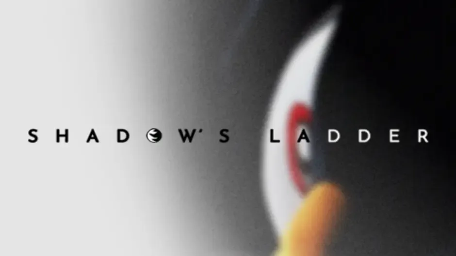 Capture d'écran de l'article