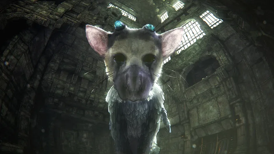 Capture d'écran de l'article