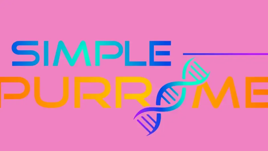 Кадър от A Simple Expurriment