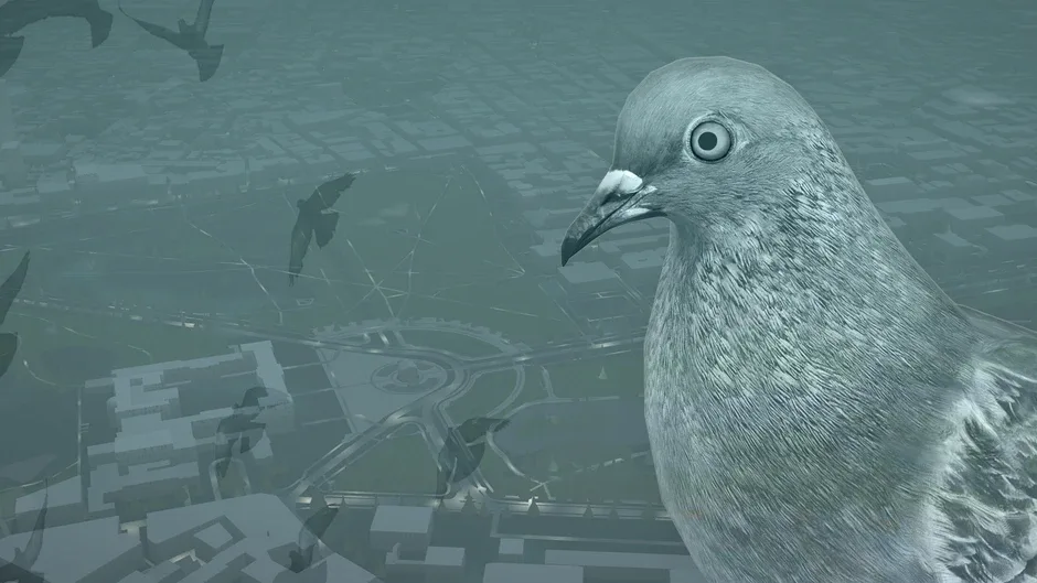 Pigeon: A Love Story