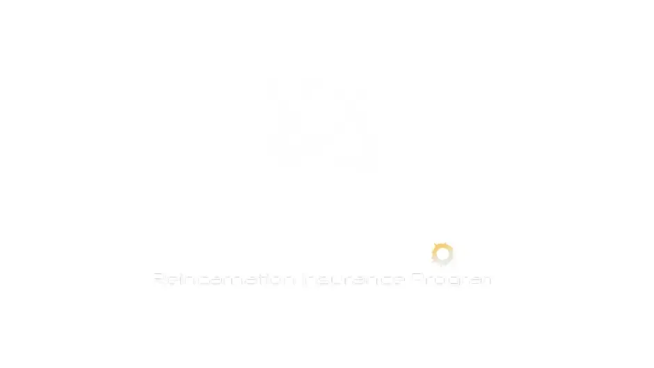 Кадър от R.I.P.: Reincarnation Insurance Program