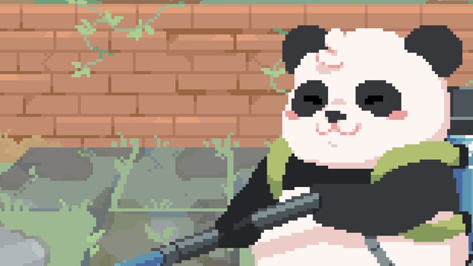 Fondo