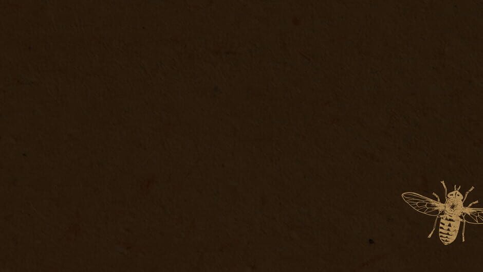 Queen of the Flies media thumbnail