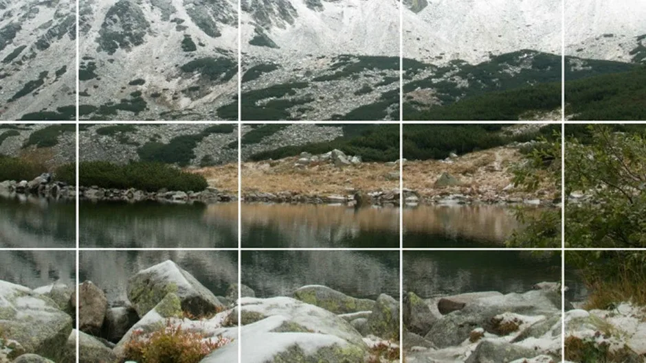 Capture d'écran de l'article