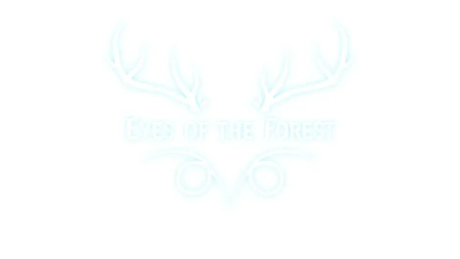 Кадър от Eyes of the Forest