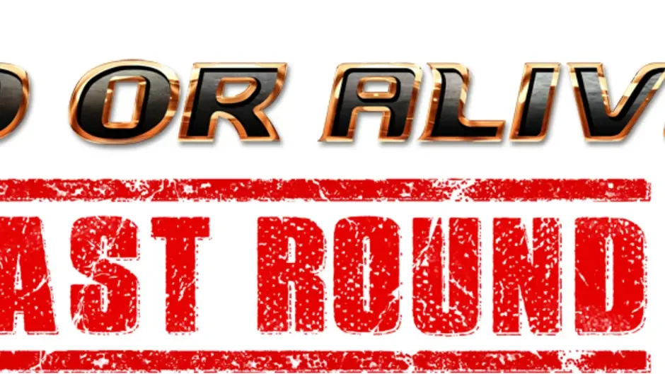 Кадър от Dead or Alive 6 Last Round