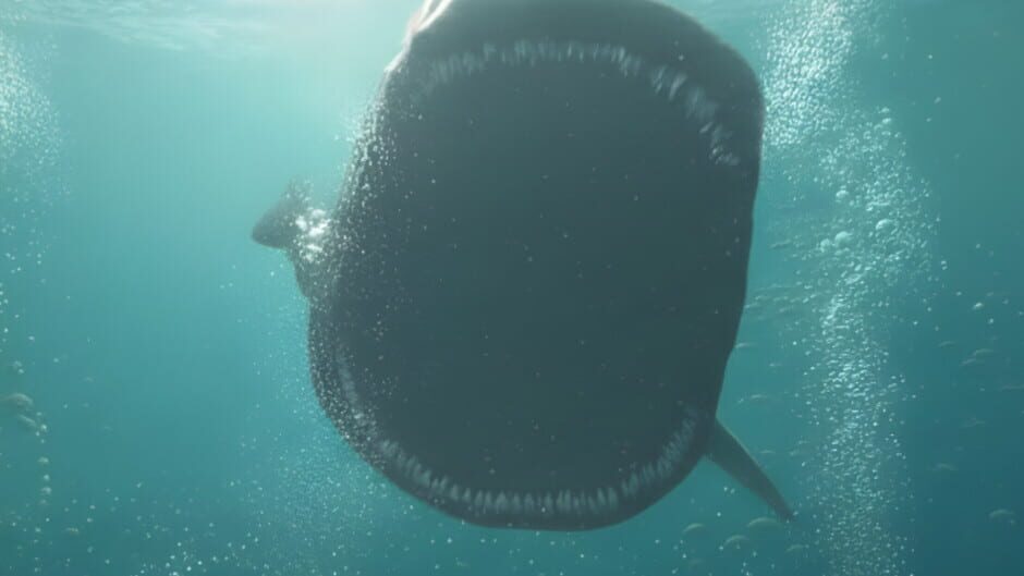 Submerge