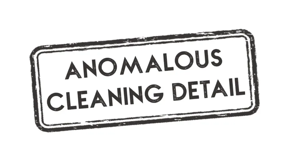 Кадър от Anomalous Cleaning Detail