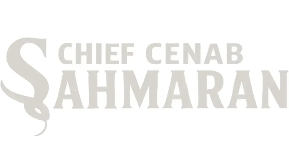 Кадър от Chief Cenab: Şahmaran