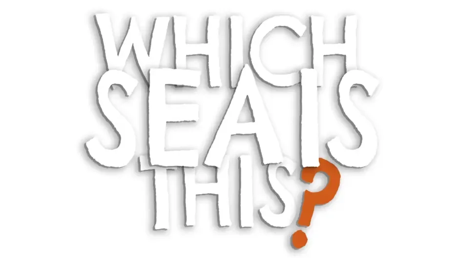 Кадър от Which Sea Is This?