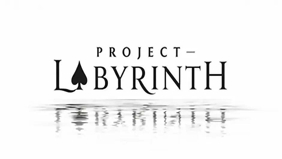 Кадър от Project - Labyrinth