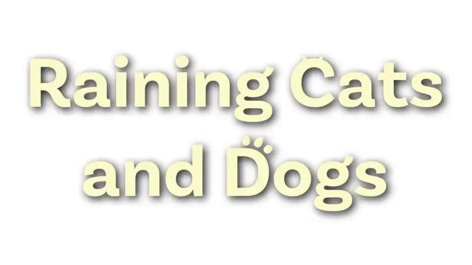 Кадър от Raining Cats and Dogs