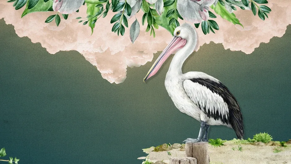 Pelican Empyrean