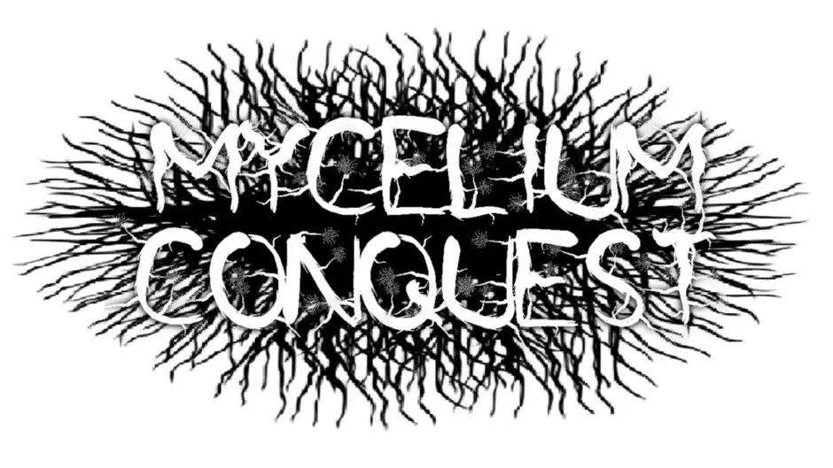 Capture d'écran de l'article