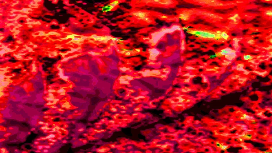 Кадър от Neurospasm