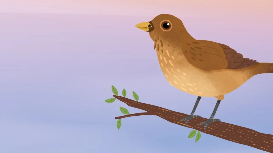 Кадър от The Birdsong Tree