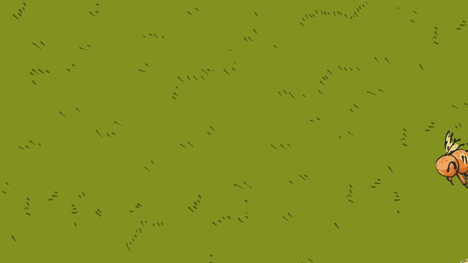 Fondo