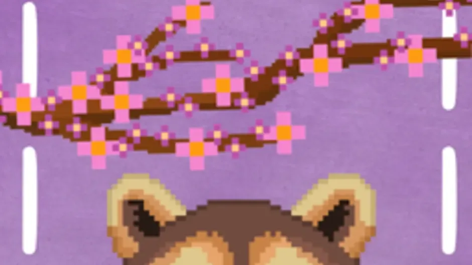 Hidden Raccoons in Asia