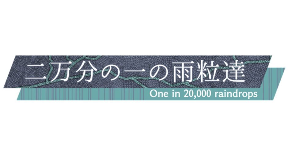 Shatou Sombrero One in 20,000 Raindrops