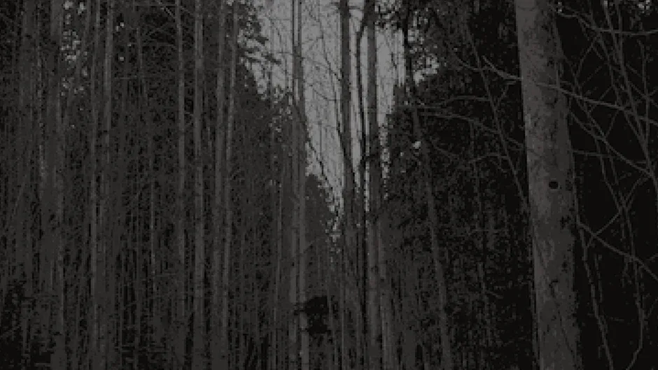 Кадър от Blood Park