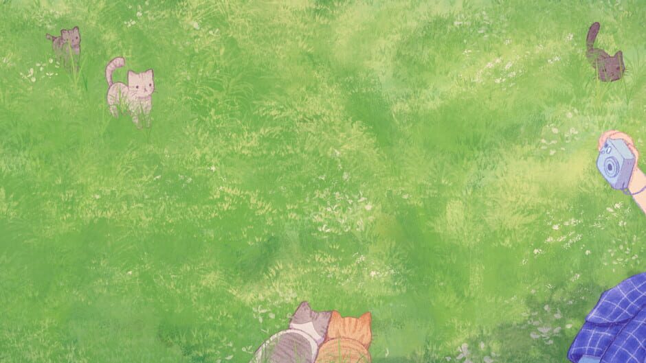 Lazy Otter Snap the Cat