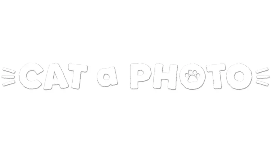 Кадър от Cat a Photo