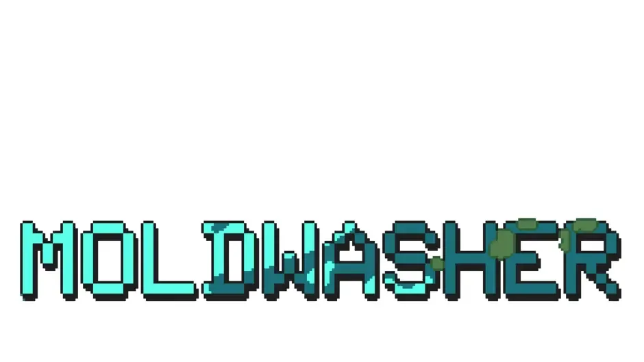 Кадър от Moldwasher