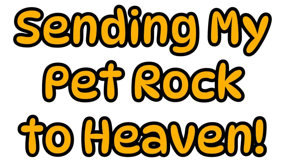 Кадър от Sending my Pet Rock To Heaven!