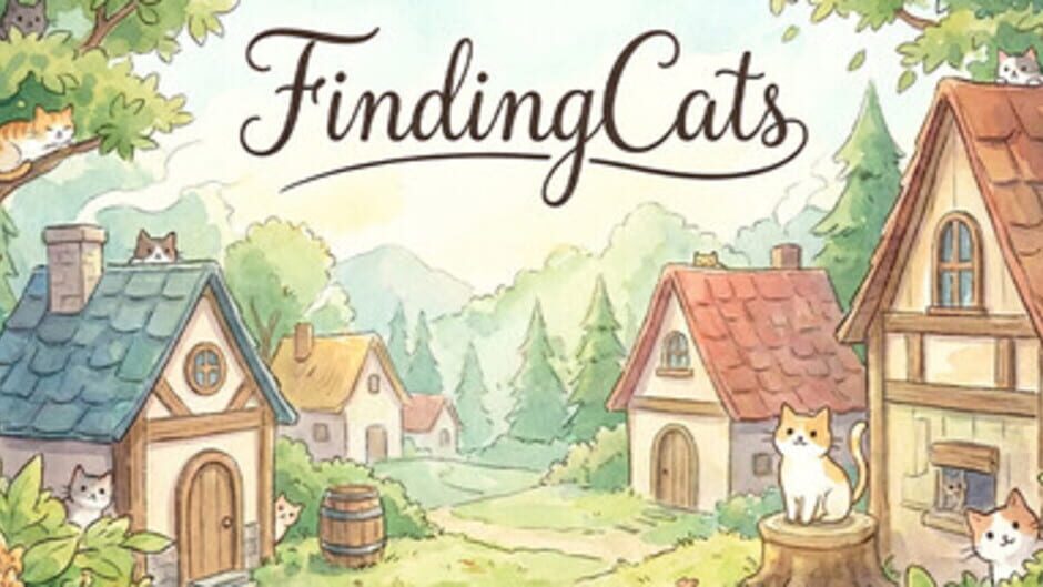 9900 Studio Finding Cats