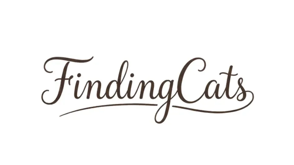 Кадър от Finding Cats