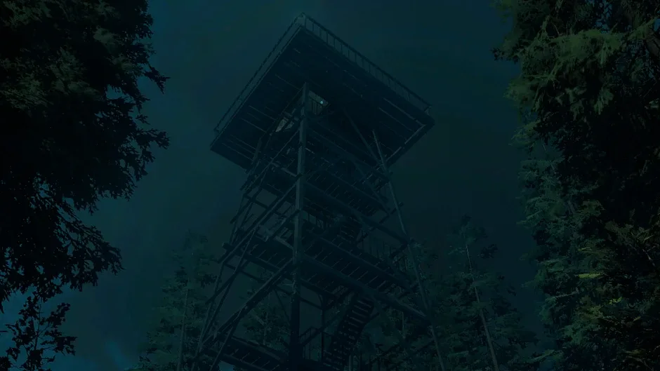 Кадър от Forest Lookout